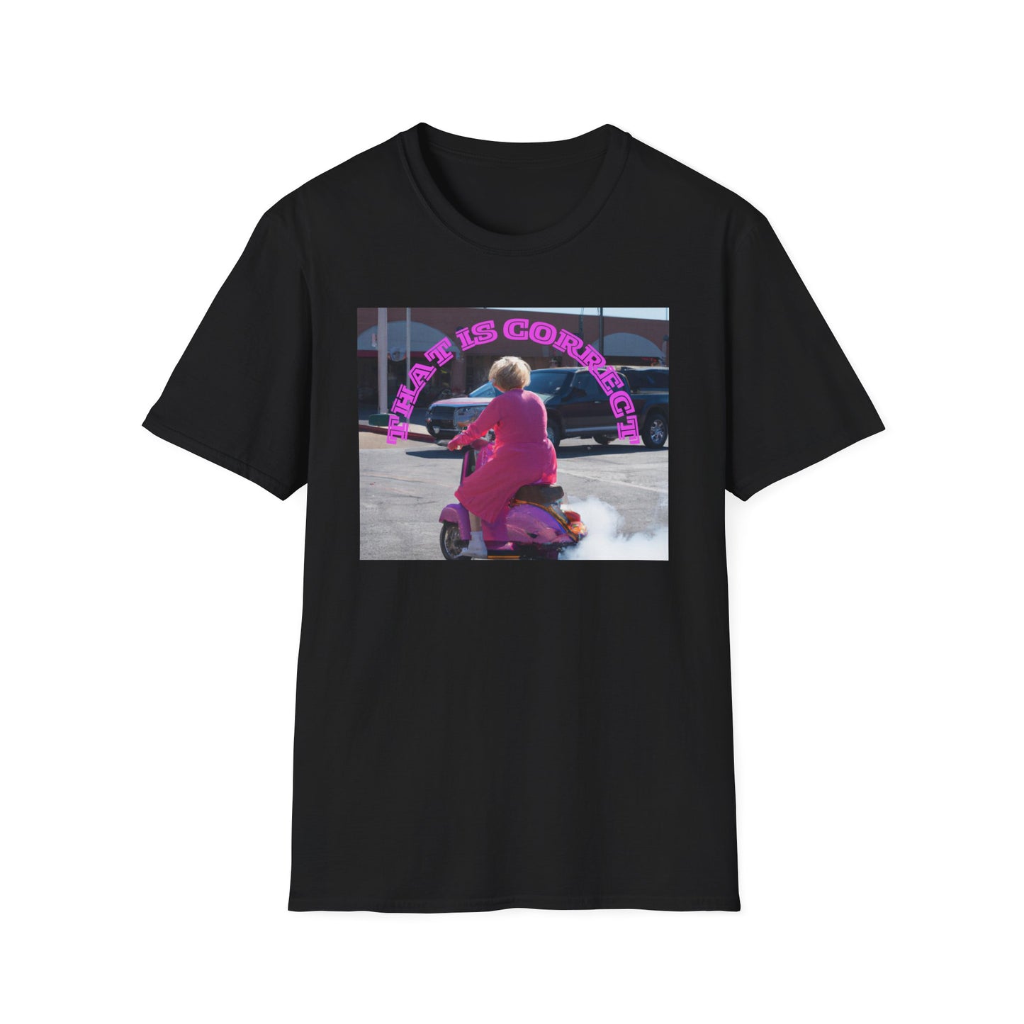 THAT IS CORRECT V2--Unisex Softstyle T-Shirt