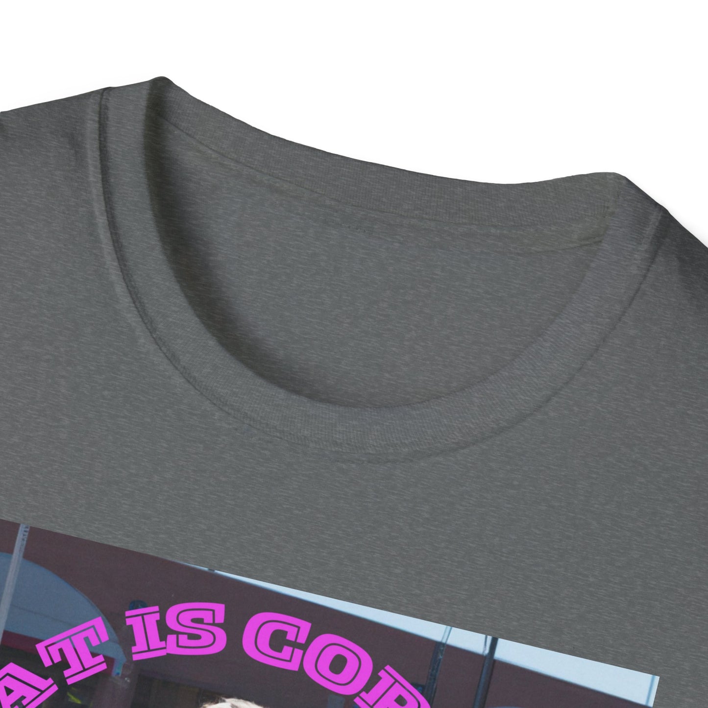 THAT IS CORRECT V2--Unisex Softstyle T-Shirt