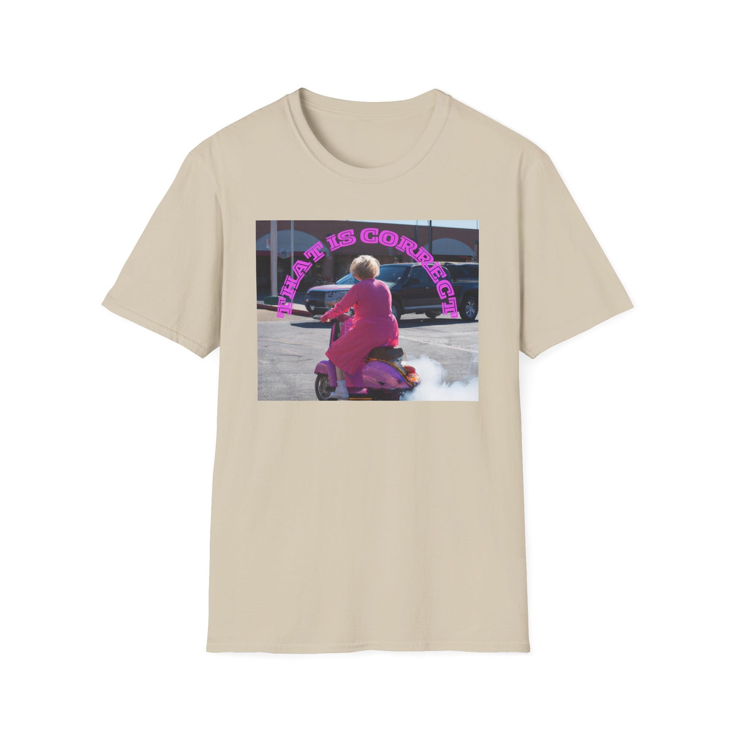 THAT IS CORRECT V2--Unisex Softstyle T-Shirt