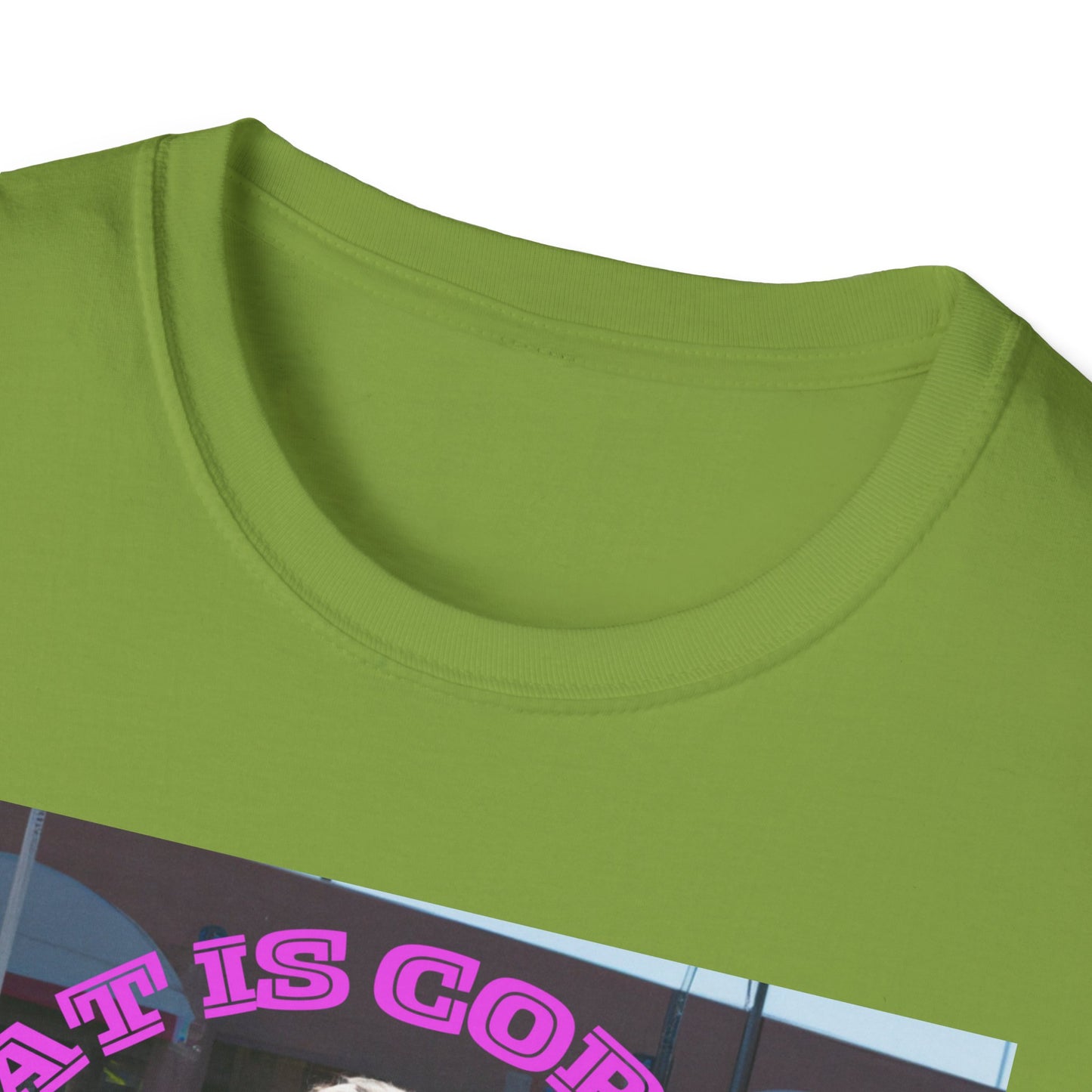 THAT IS CORRECT V2--Unisex Softstyle T-Shirt