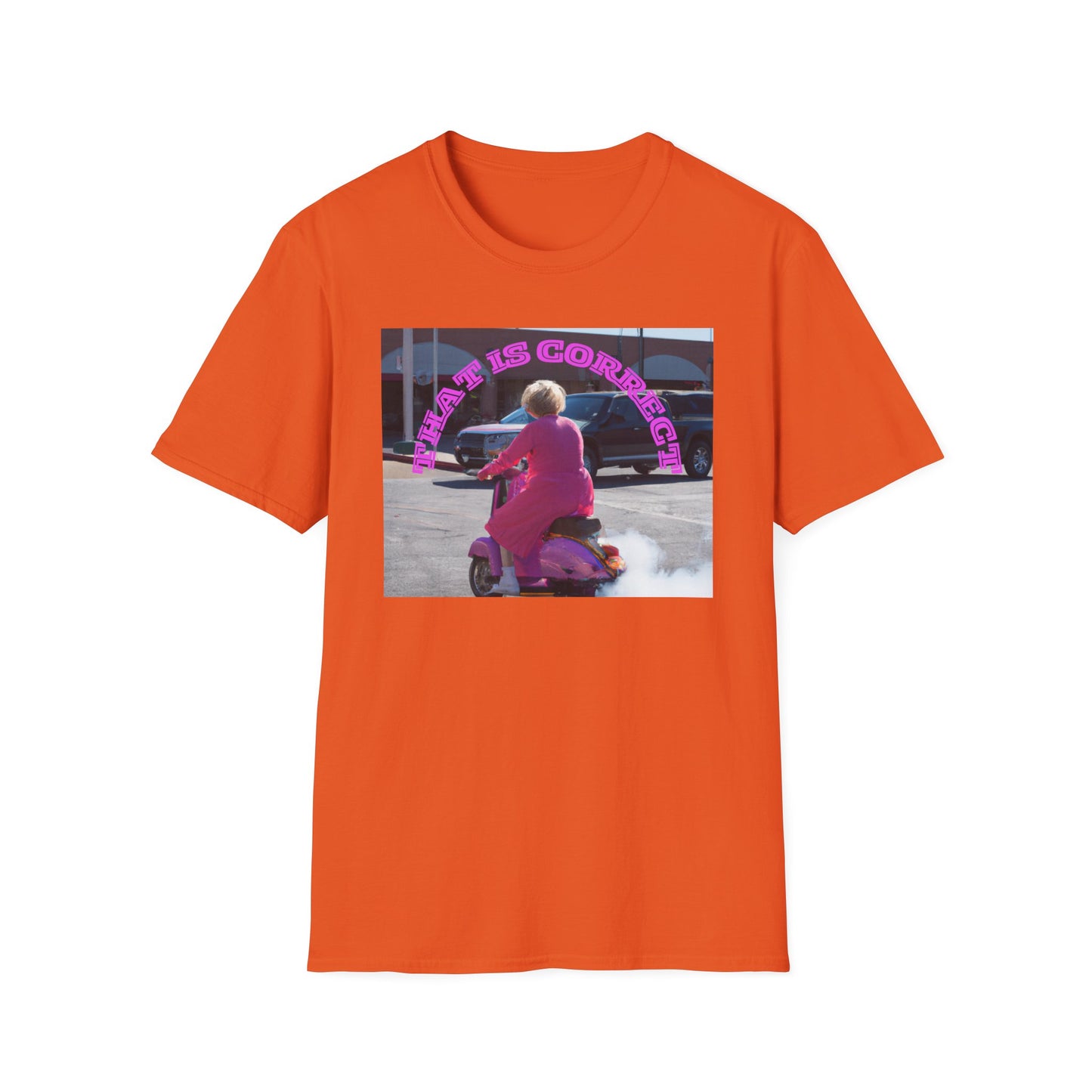 THAT IS CORRECT V2--Unisex Softstyle T-Shirt