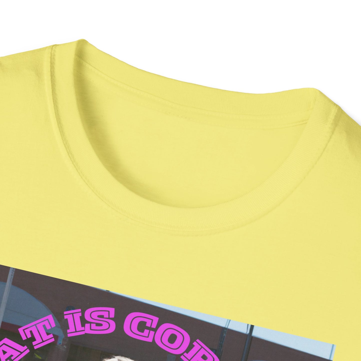 THAT IS CORRECT V2--Unisex Softstyle T-Shirt