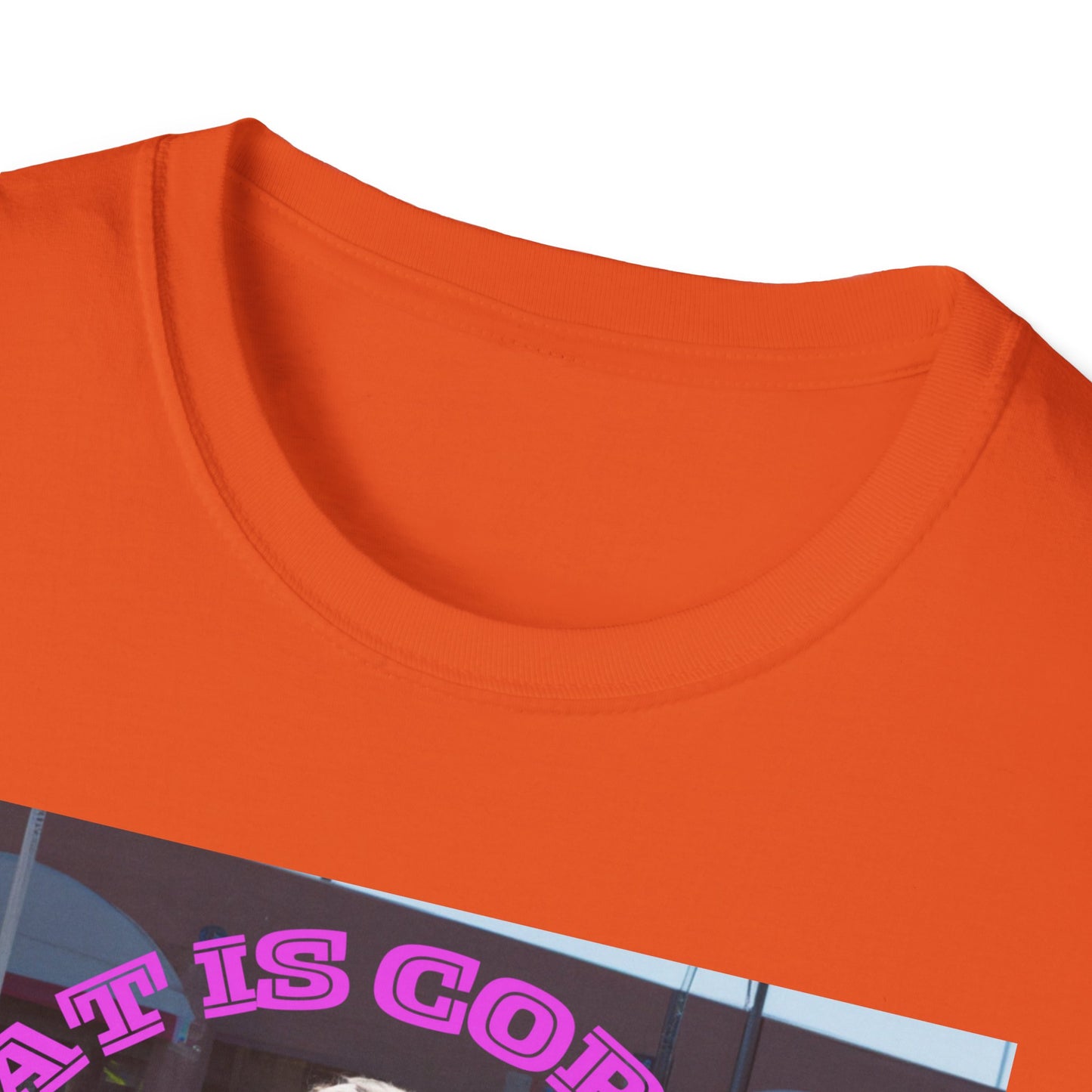THAT IS CORRECT V2--Unisex Softstyle T-Shirt