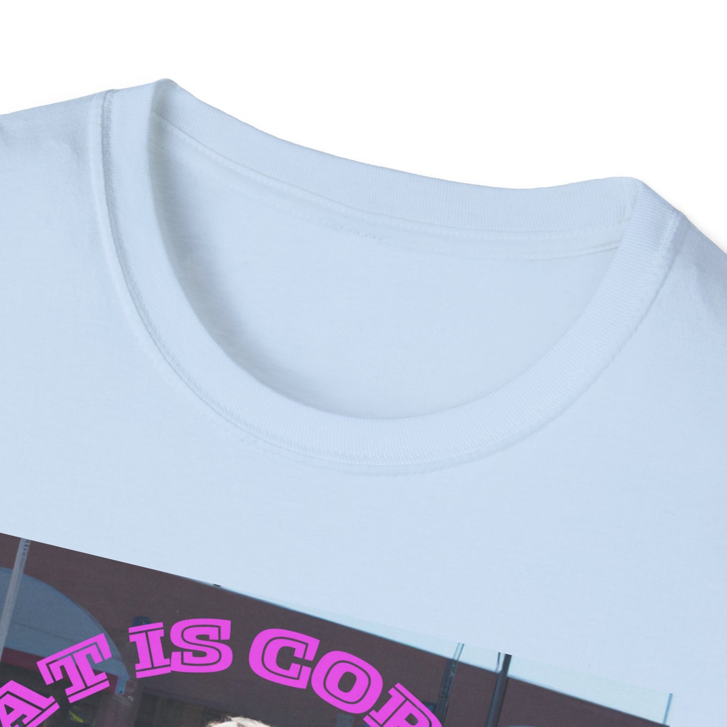THAT IS CORRECT V2--Unisex Softstyle T-Shirt