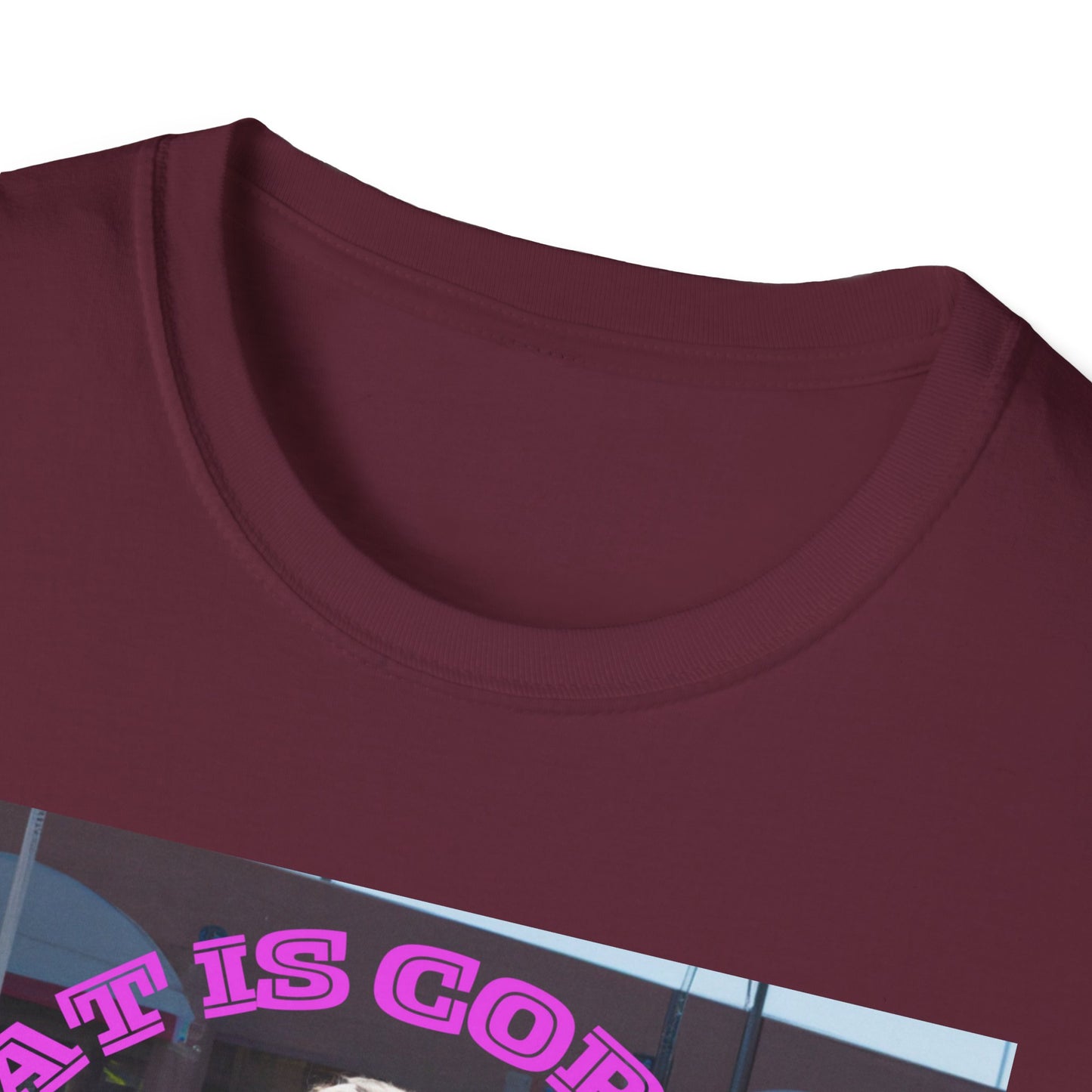 THAT IS CORRECT V2--Unisex Softstyle T-Shirt