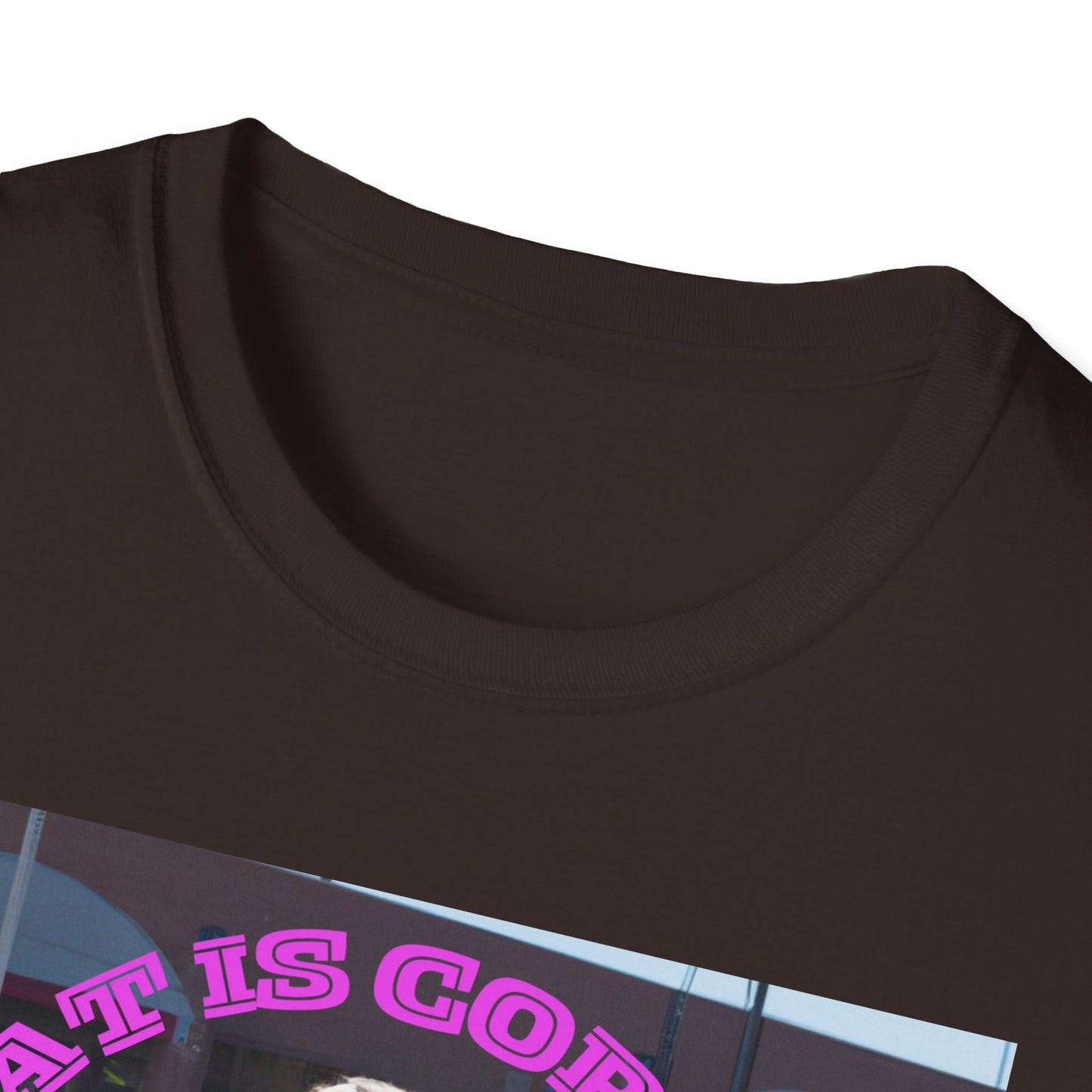 THAT IS CORRECT V2--Unisex Softstyle T-Shirt