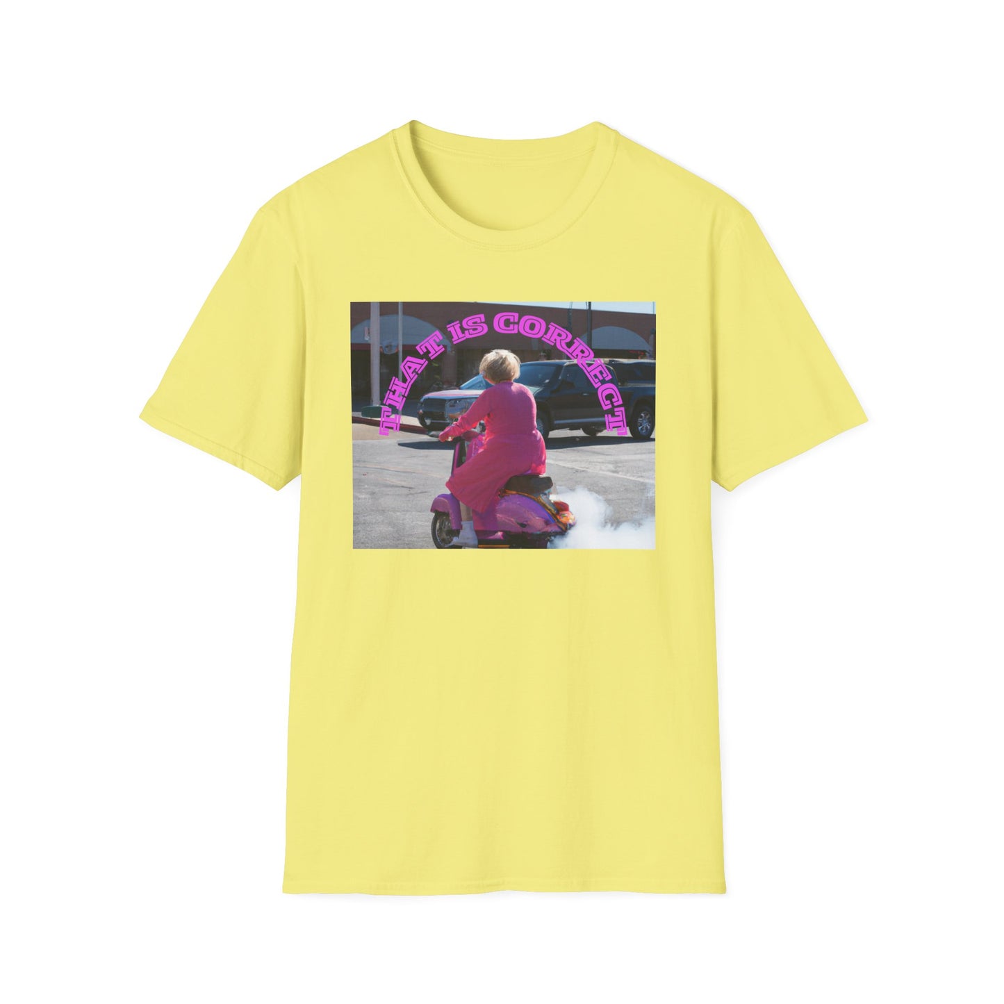 THAT IS CORRECT V2--Unisex Softstyle T-Shirt