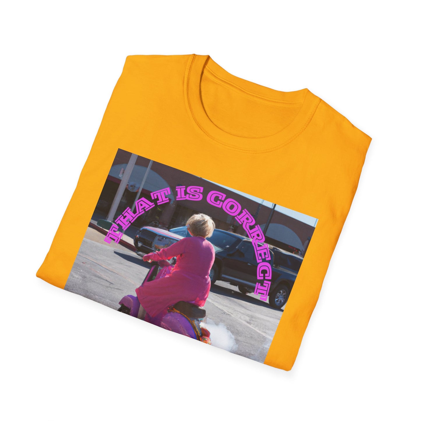 THAT IS CORRECT V2--Unisex Softstyle T-Shirt