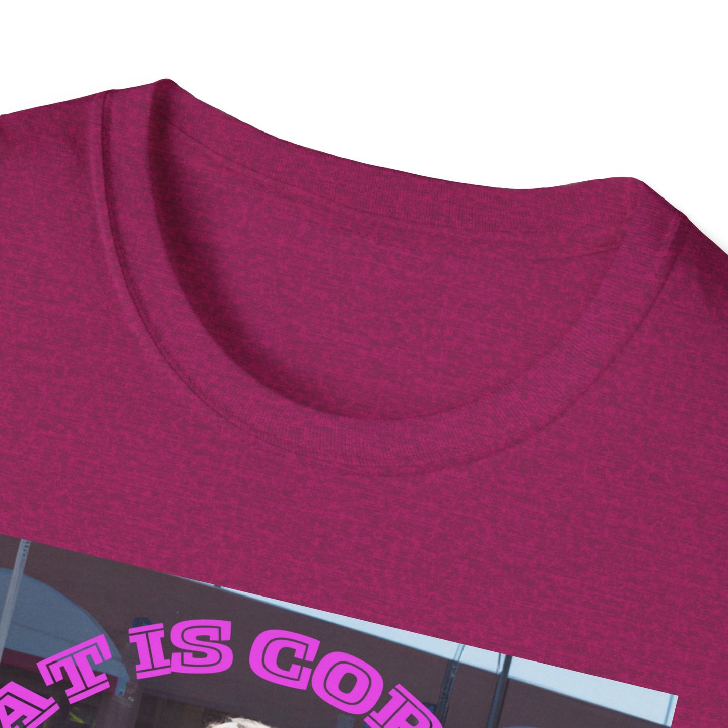 THAT IS CORRECT V2--Unisex Softstyle T-Shirt