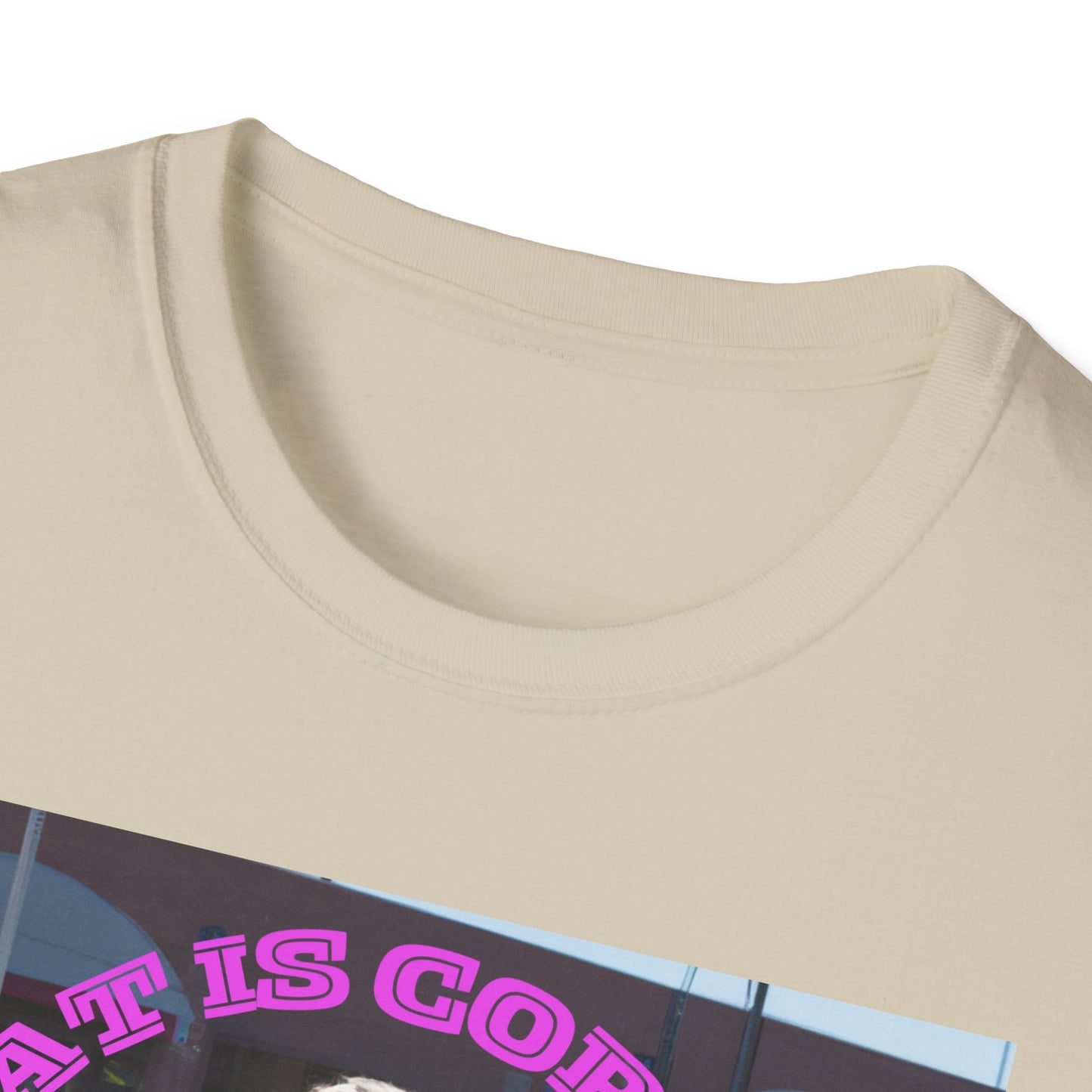 THAT IS CORRECT V2--Unisex Softstyle T-Shirt