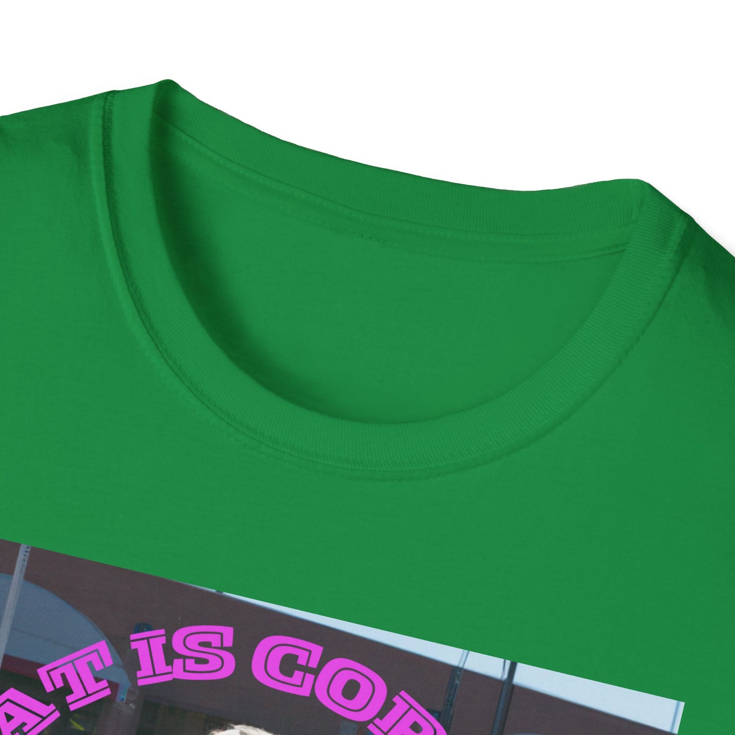THAT IS CORRECT V2--Unisex Softstyle T-Shirt