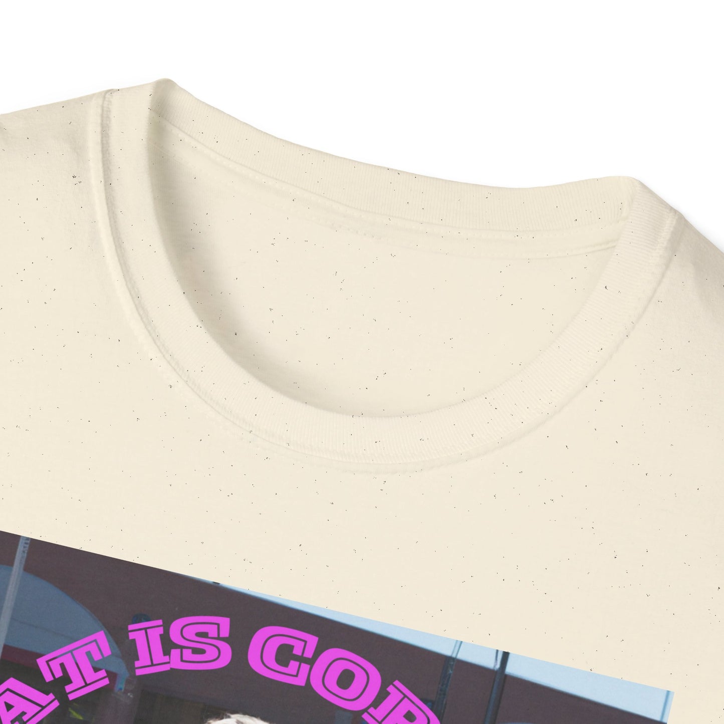 THAT IS CORRECT V2--Unisex Softstyle T-Shirt