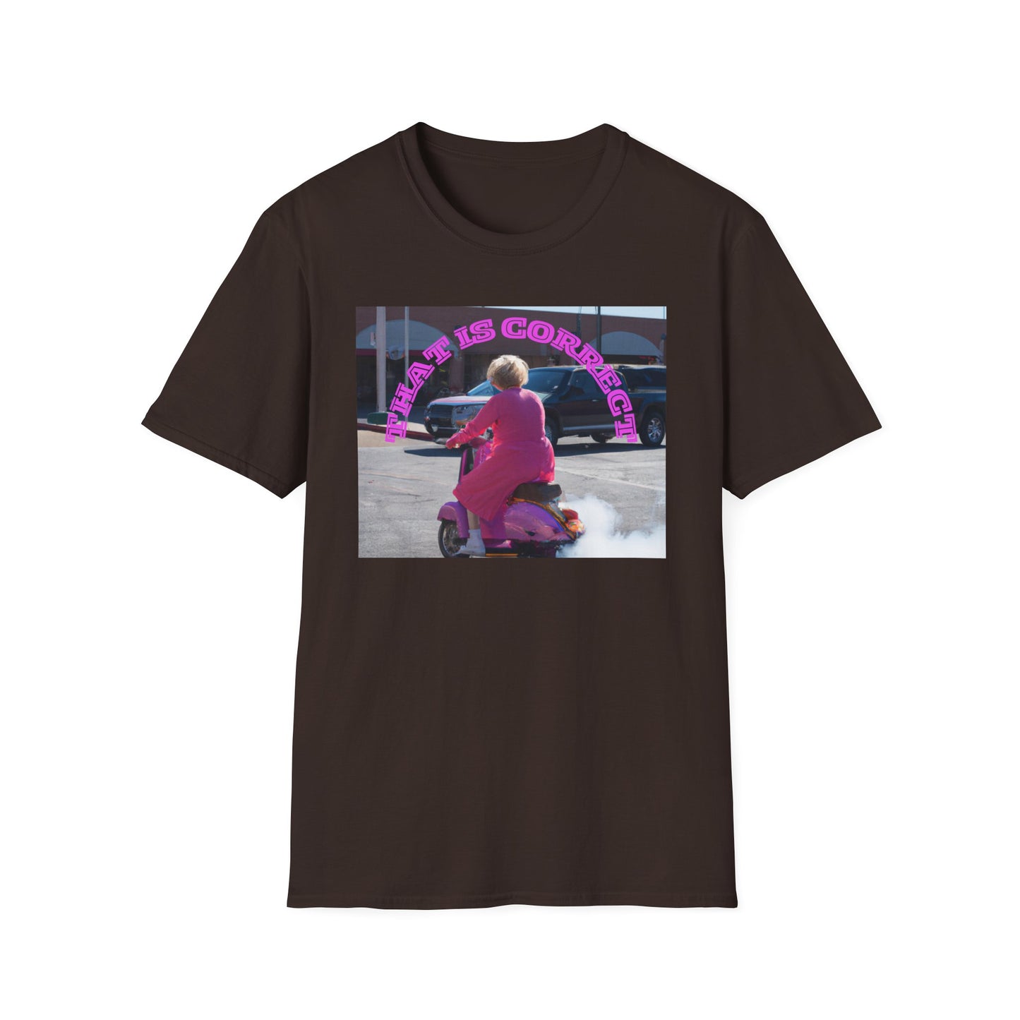 THAT IS CORRECT V2--Unisex Softstyle T-Shirt