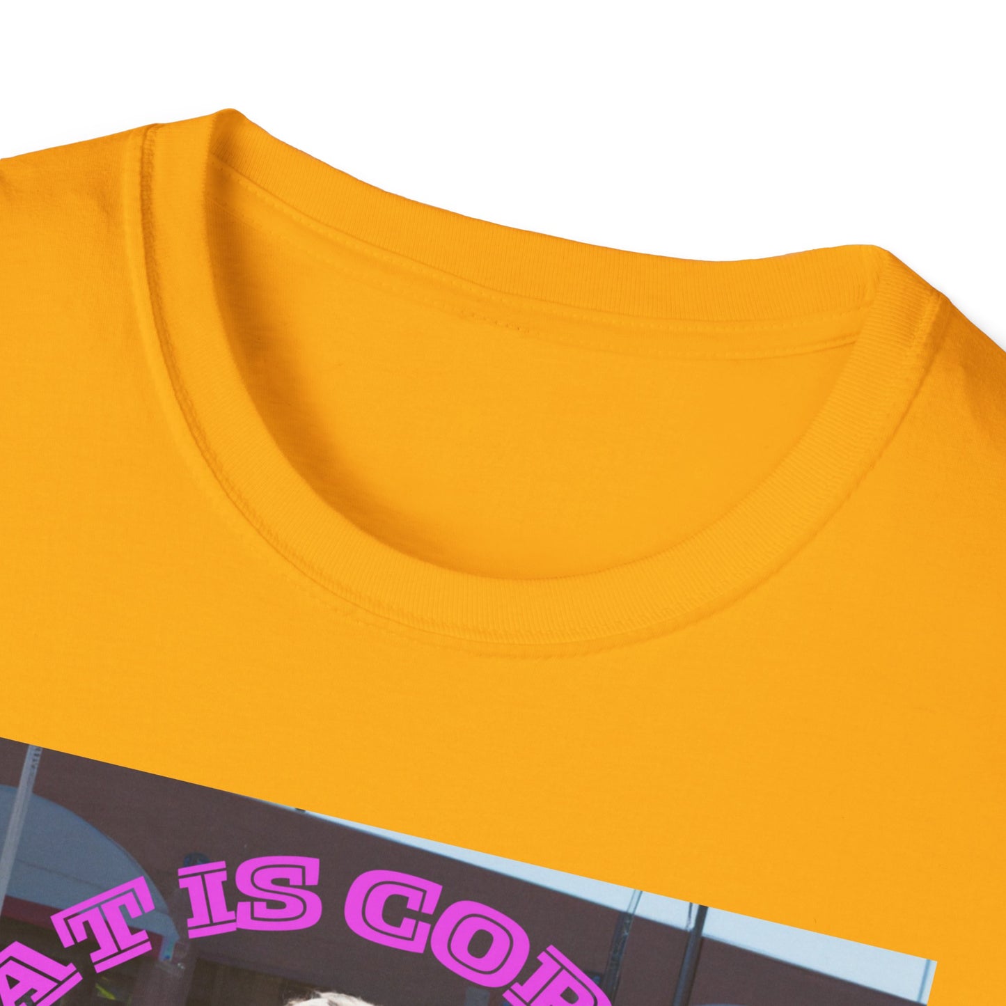 THAT IS CORRECT V2--Unisex Softstyle T-Shirt