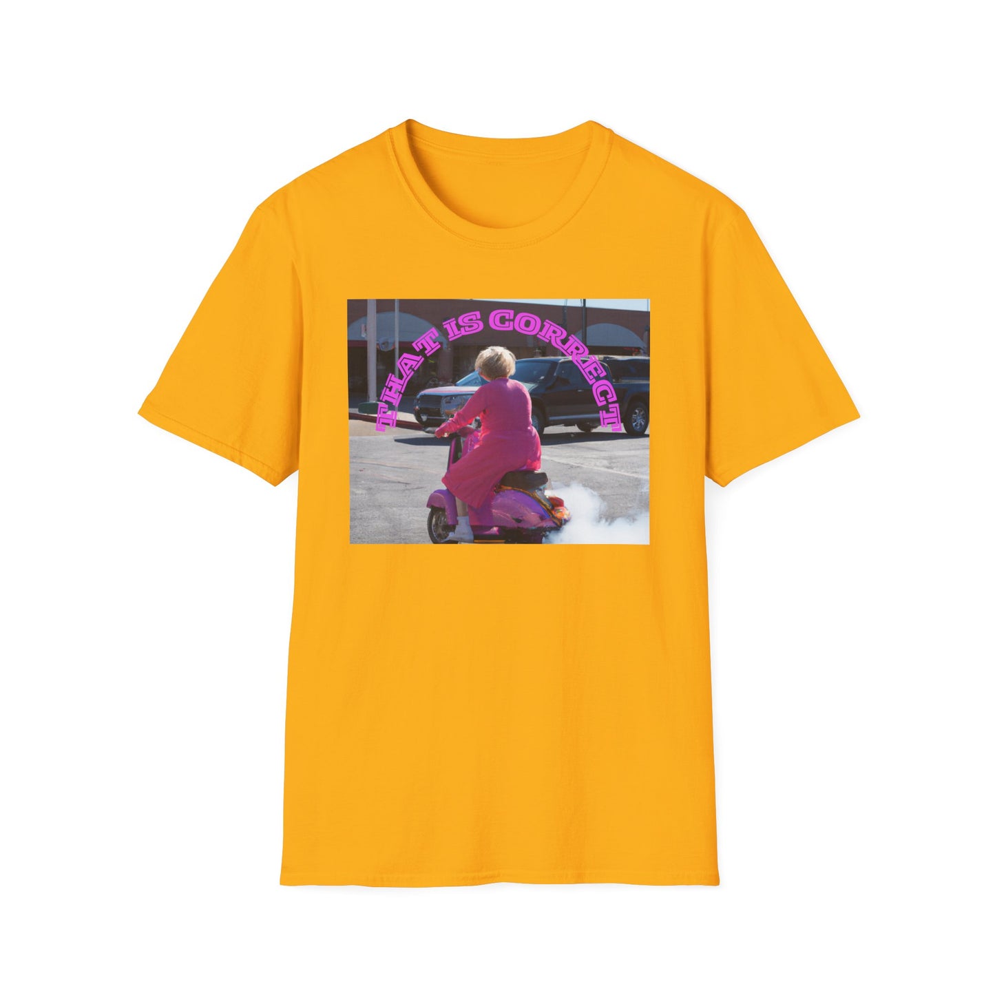 THAT IS CORRECT V2--Unisex Softstyle T-Shirt