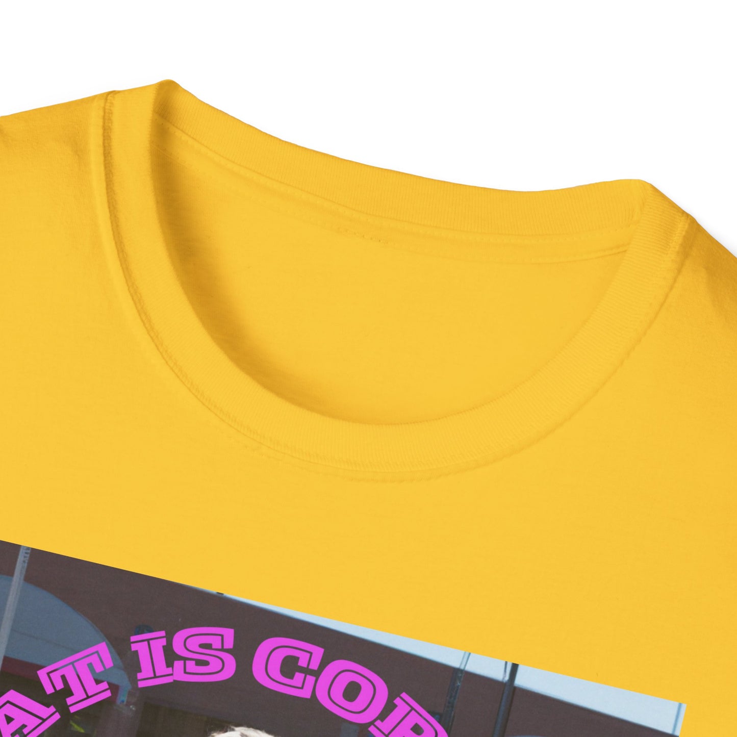 THAT IS CORRECT V2--Unisex Softstyle T-Shirt