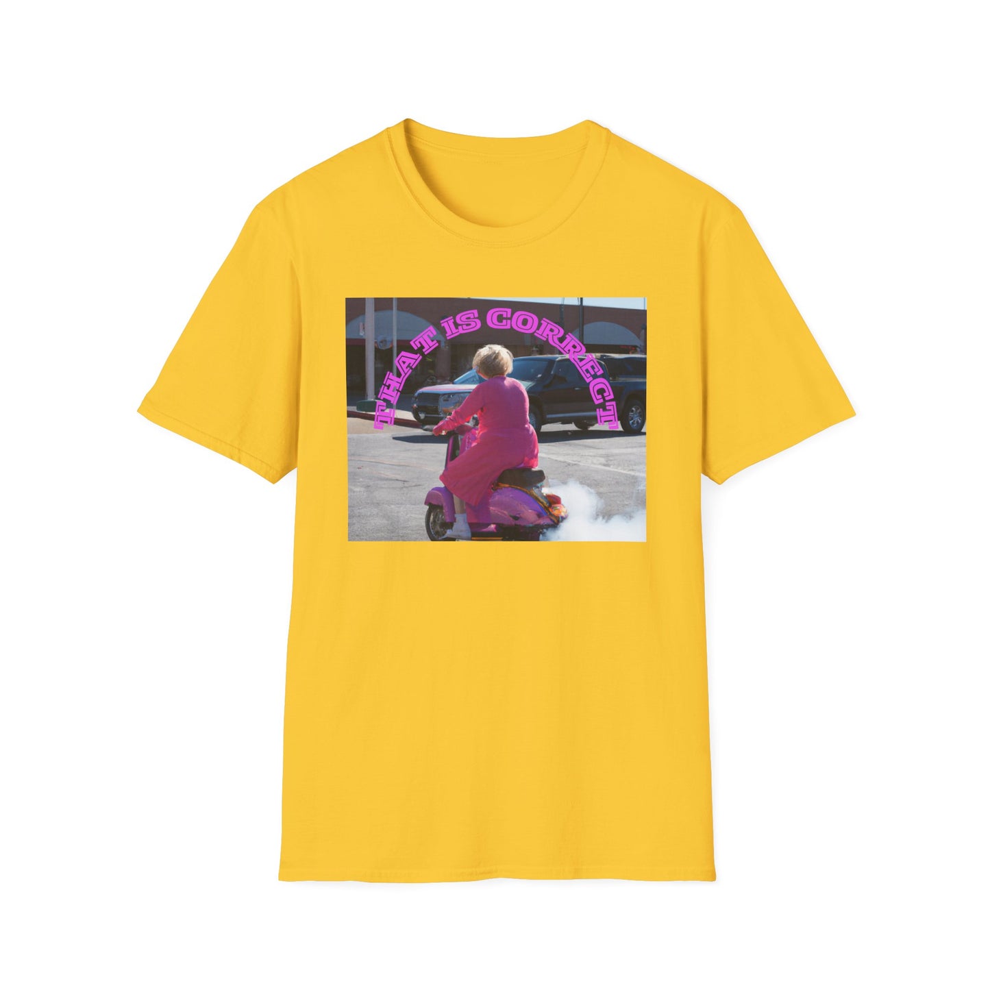 THAT IS CORRECT V2--Unisex Softstyle T-Shirt